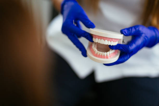 Trusted Vero Beach South, FL Holistic Dental Care Services Experts